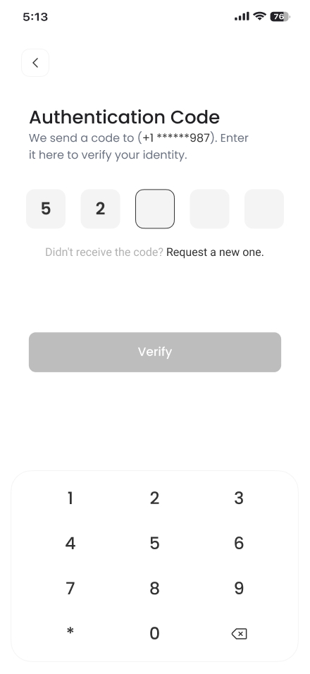 Wireframe 6